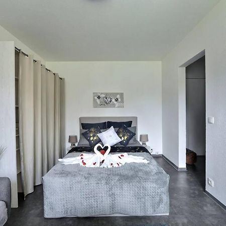 Апартаменты Studio Renov*Fibre*Parking 3 Min Gare De St-Louis Сен-Луи Экстерьер фото