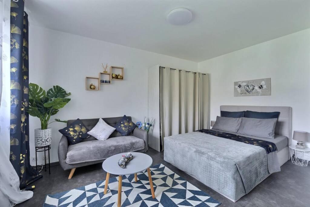 Апартаменты Studio Renov*Fibre*Parking 3 Min Gare De St-Louis Сен-Луи Экстерьер фото